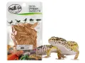 Larwy mącznika 20g Eco-Fresh Mealworm ProBugs - pakowane próżniowo