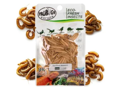 Larwy mącznika 20g Eco-Fresh Mealworm ProBugs - pakowane próżniowo