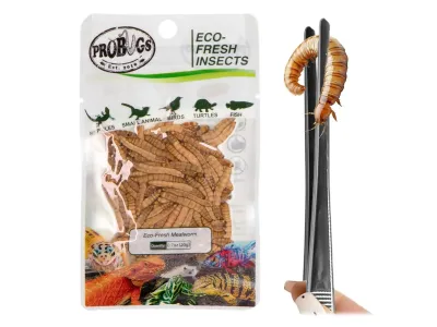 Larwy mącznika 20g Eco-Fresh Mealworm ProBugs - pakowane próżniowo