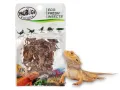 Świerszcze 6g Eco-Fresh Cricket ProBugs - pakowane próżniowo – karmówka / pokarm dla gadów i