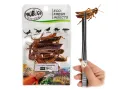 Koniki polne 8szt Eco-Fresh Grasshopper ProBugs - pakowane próżniowo