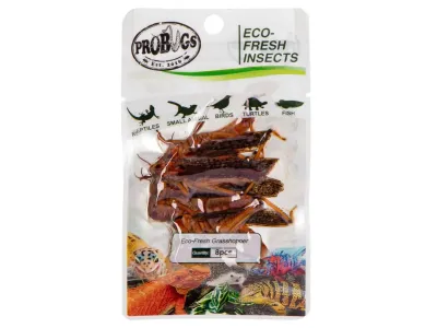 Koniki polne 8szt Eco-Fresh Grasshopper ProBugs - pakowane próżniowo