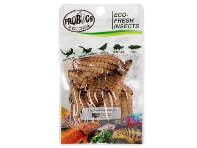 Larwy drewnojada 20g Eco-Fresh Superworm ProBugs - pakowane próżniowo
