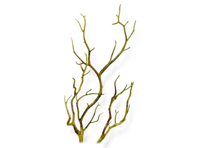 Sztuczny korzeń, roślina do terrarium – duża gałązka 48 cm