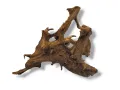 Korzeń mangrowca do akwarium terrarium rozmiar M 20-35 cm – dekoracja do terrarium, naturalny