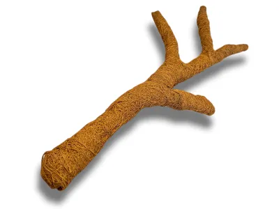 Naturalna gałąź kokosowa do terrarium 80cm – więcej przestrzeni dla gadów