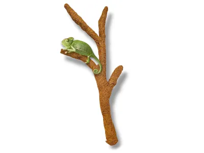 Naturalna gałąź kokosowa do terrarium 80cm – więcej przestrzeni dla gadów