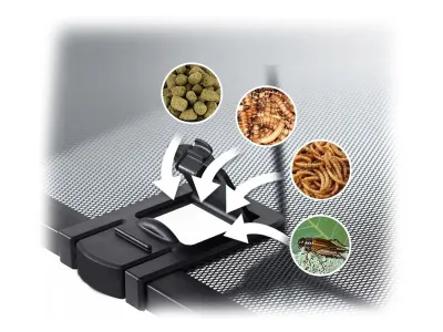 Terrarium szklane 20x20x20cm – funkcjonalne terrarium dla ptasznika