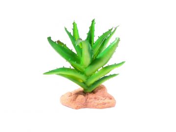 Roślina sztuczna do terrarium - SUKULENT 13cm 29,00 zł