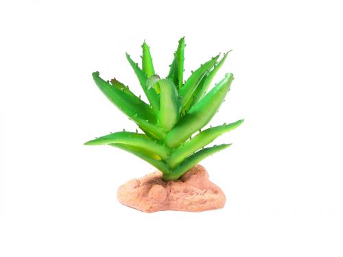 Roślina sztuczna do terrarium - SUKULENT 13cm Reptile Nova 29,00 zł