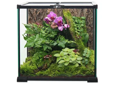 Terrarium szklane 20x20x20cm – funkcjonalne terrarium dla ptasznika