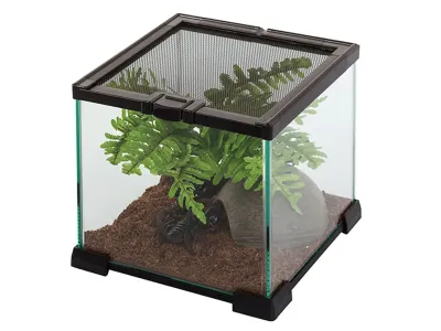 Terrarium szklane 20x20x20cm – funkcjonalne terrarium dla ptasznika