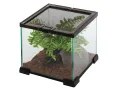 Terrarium szklane 20x20x20cm – funkcjonalne terrarium dla ptasznika