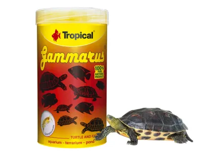 Gammarus - suszony kiełż zdrojowy naturalny pokarm dla ryb i żółwi