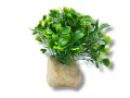 Roślina sztuczna na kamieniu StonePlant TYP 06 10,00 zł