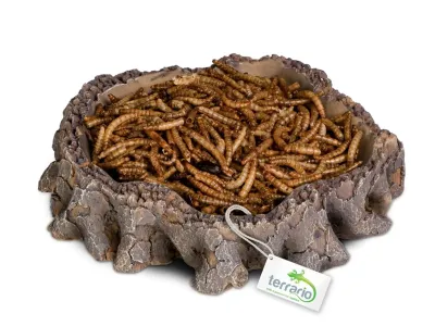 Miska do terrarium Root Bowl 16x16x4 cm Terrario – miska / poidło do terrarium dla gadów
