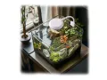 Mała lampa LED do akwarium 10-40l | 3 tryby światła | Kruger Meier