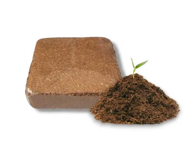 Włókno kokosowe w kostce - naturalne podłoże dla ptaszników i roślin