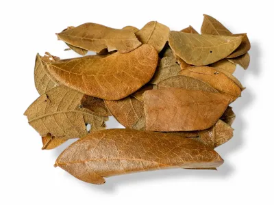 Liście tropikalne do terrarium Tropical Leaves - 20g – dekoracja do terrarium, naturalny