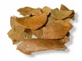 Liście tropikalne do terrarium Tropical Leaves - 20g – dekoracja do terrarium, naturalny