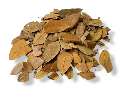 Liście tropikalne do terrarium Tropical Leaves - 20g – dekoracja do terrarium, naturalny