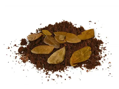 Liście tropikalne do terrarium Tropical Leaves - 20g – dekoracja do terrarium, naturalny