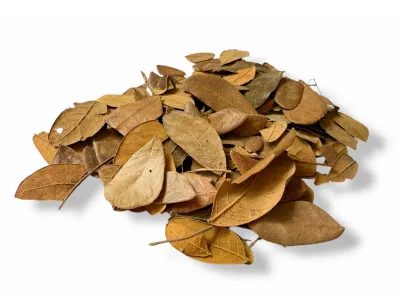 Liście tropikalne do terrarium Tropical Leaves - 20g – dekoracja do terrarium, naturalny