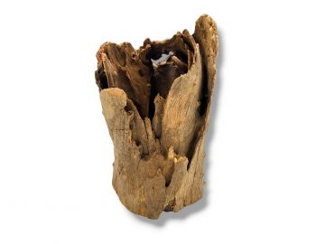 Korzeń Buddha Stump korzenie do akwarium terrarium 10-20cm 30,00 zł