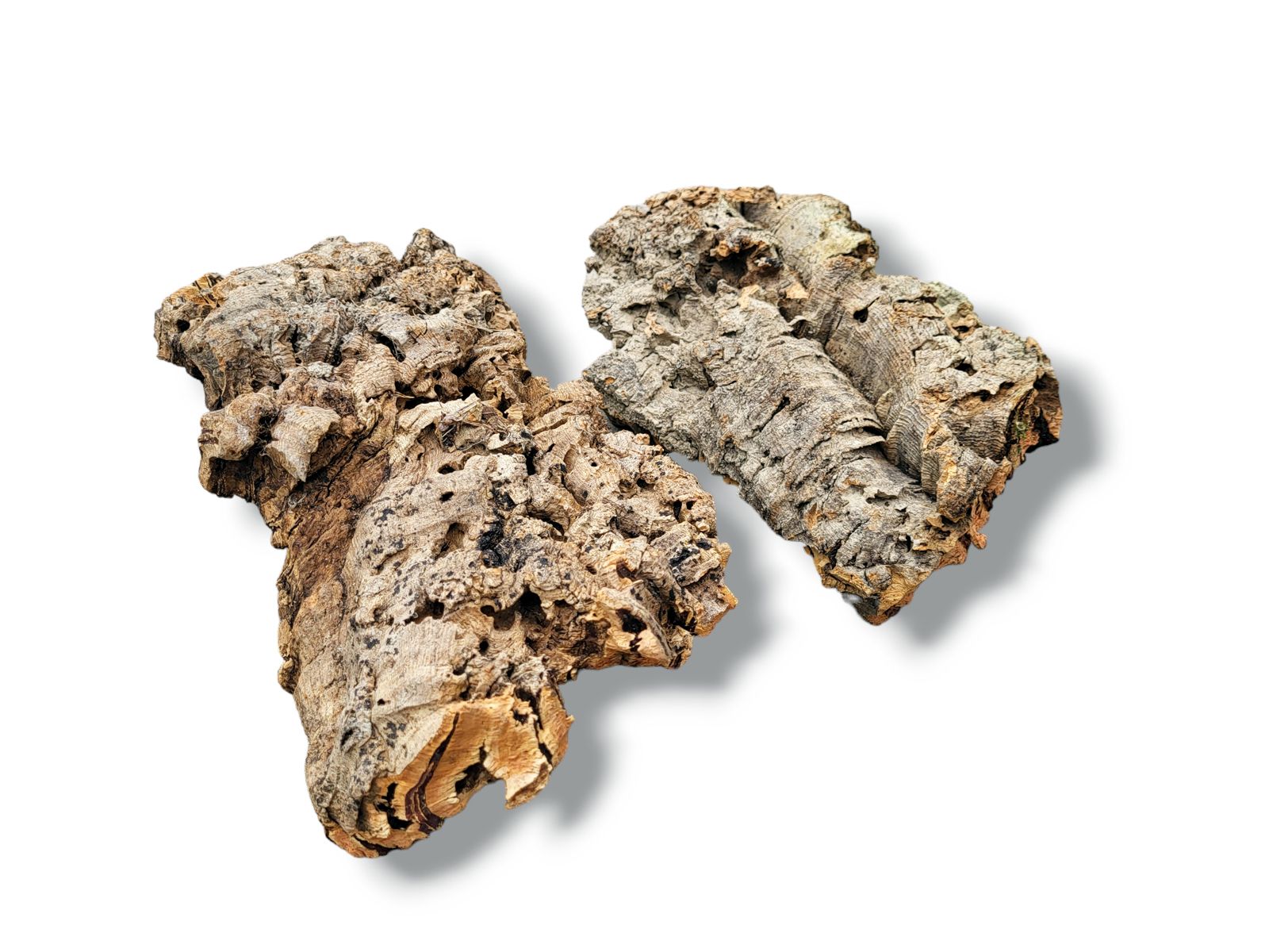 Płaty - kora dębu korkowego Cork Bark Flats 1kg 49,99 zł