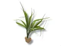 Roślina sztuczna na kamieniu StonePlant TYP 14 12,00 zł