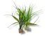 Roślina sztuczna na kamieniu StonePlant TYP 14 12,00 zł