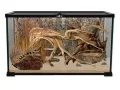 Terrarium Repti Planet 50,5x30,5x25cm – kompaktowe i funkcjonalne