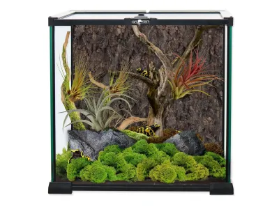 Terrarium 30x30x30cm – funkcjonalne terrarium dla ptasznika Repti Planet