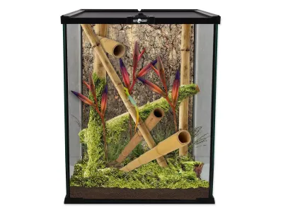 Terrarium szklane 20x20x30cm Repti Planet – terrarium do hodowli ptaszników, skorpionów i