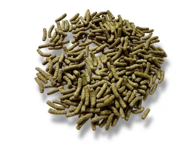 Tropical BiOREPT L 500ml pokarm dla roślinożernych żółwi lądowych – pokarm dla zwierząt