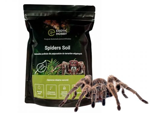 Spiders Soil - podłoże dla pająków 3L Exotic Hobby 39,00 zł