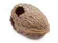 Duża kryjówka - orzech do terrarium lub akwarium 20cm Happet – kryjówka do terrarium dla gadów
