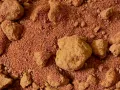 Sand Clay Red – czerwone podłoże dla agamy brodatej - piach z gliną do terrarium