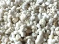 Perlit naturalne podłoże do inkubacji jaj i uprawy roślin 3L – pojemnik inkubacyjny do jaj