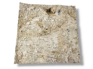 Tło do terrarium/pojemnika z naturalnej BRZOZY Birch Wall 30x30 12,49 zł