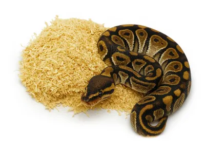 Pet's Dream Snake - podłoże do hodowli węży 2kg Chipsi Snake – substrat do terrarium, ściółka