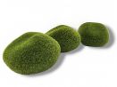 Moss Stone kamień pokryty mchem 5-6cm - S 3,50 zł