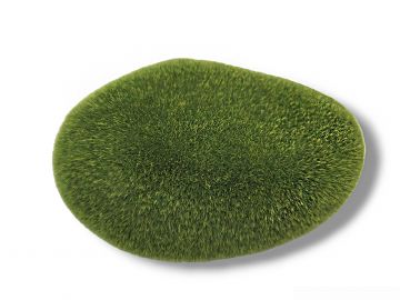 Moss Stone kamień pokryty mchem 8-9cm - M 5,00 zł