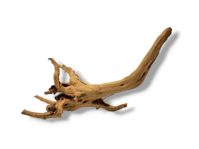 Korzeń japoński Red Moor Wood 20-30cm 15,00 zł