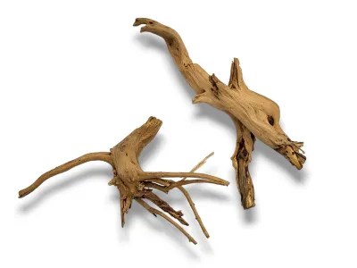 Korzeń japoński Red Moor Wood 20-30cm 15,00 zł