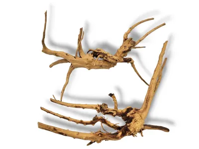 Korzeń japoński Red Moor Wood 20-30cm 15,00 zł