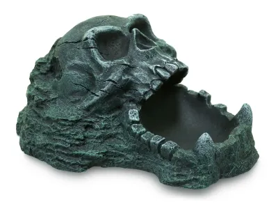 Terra Natura miska z czaszką 20 cm – dekoracyjna miska do terrarium