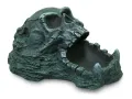 Terra Natura miska z czaszką 20 cm – dekoracyjna miska do terrarium