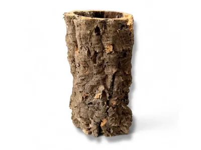 Tuba korkowa Cork Bark S ~ 10x20cm – kora korkowa, kryjówka i dekoracja terrarium | Jadowite.pl