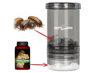 Shaker – kubek do oprószania owadów karmowych Repti-Zoo Vita-Calcium – wapń / witaminy dla